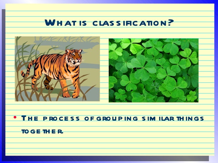 classification of animals ppt